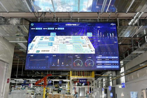 探秘青島高新區 年產20萬臺的海爾物聯工廠，如何以“硬核”科技鏈接全球低溫冷鏈